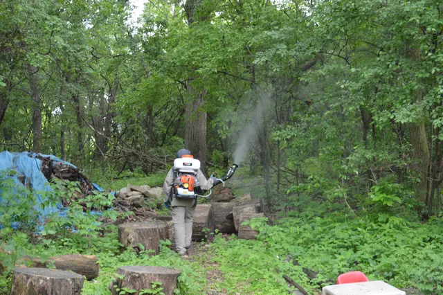 Midwest Pest Control — photo from the business 3