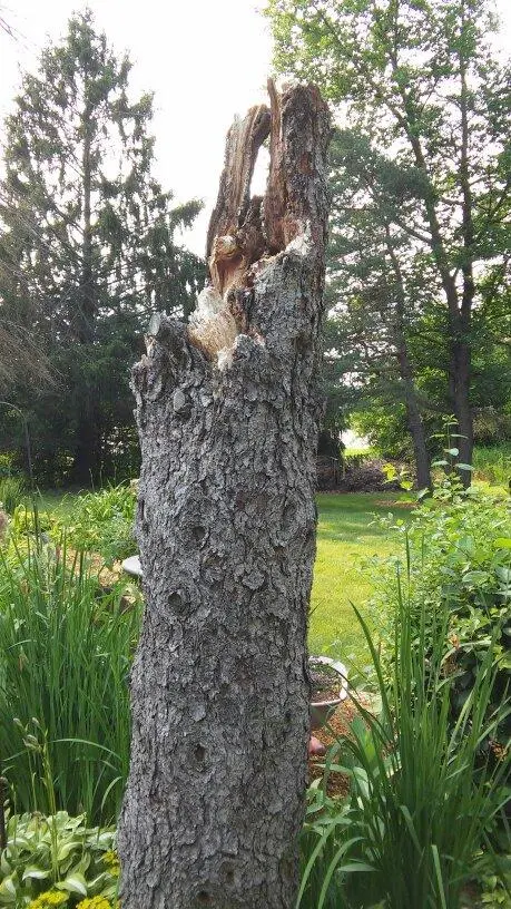 Midwest Pest Control — photo from the business 5