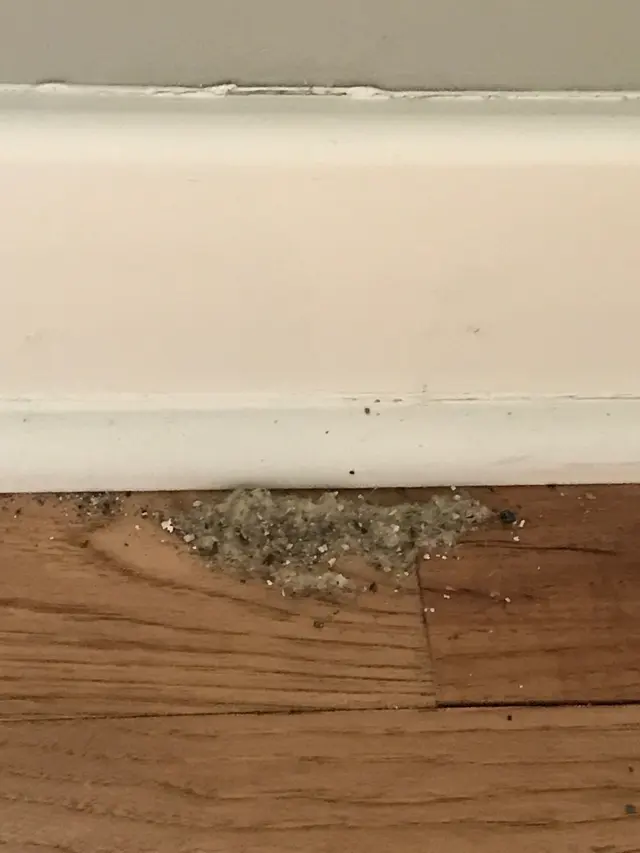 Midwest Pest Control — photo from the business 7