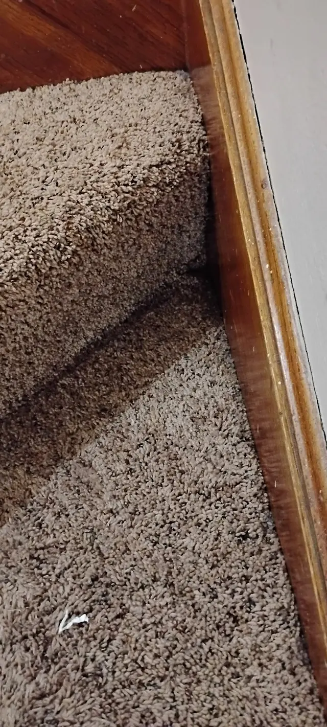 Jerry's Pest Control Service — customer photo 2