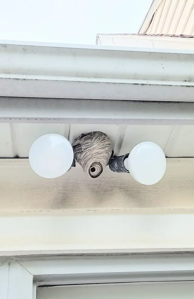 Jerry's Pest Control Service — customer photo 1