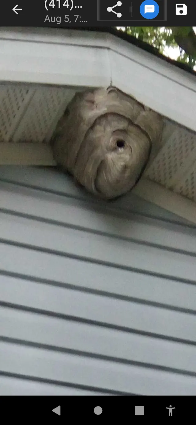 Jerry's Pest Control Service — customer photo 7