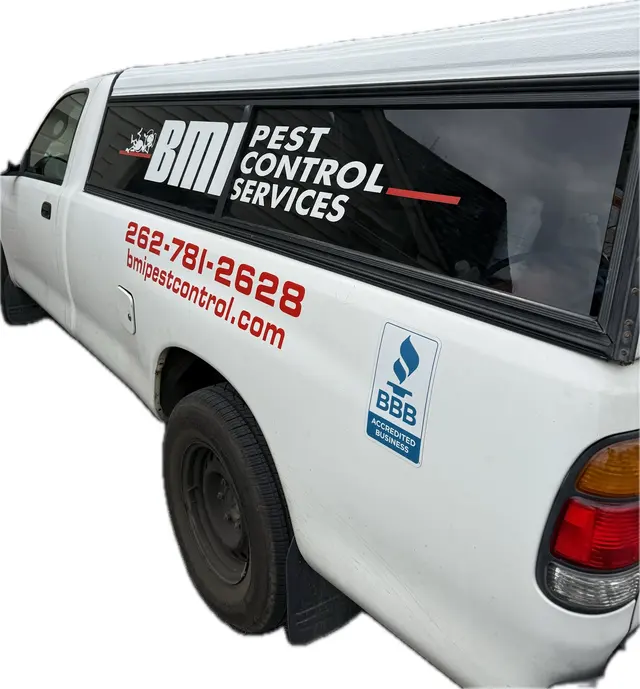 BMI Pest Control Services — customer photo 1