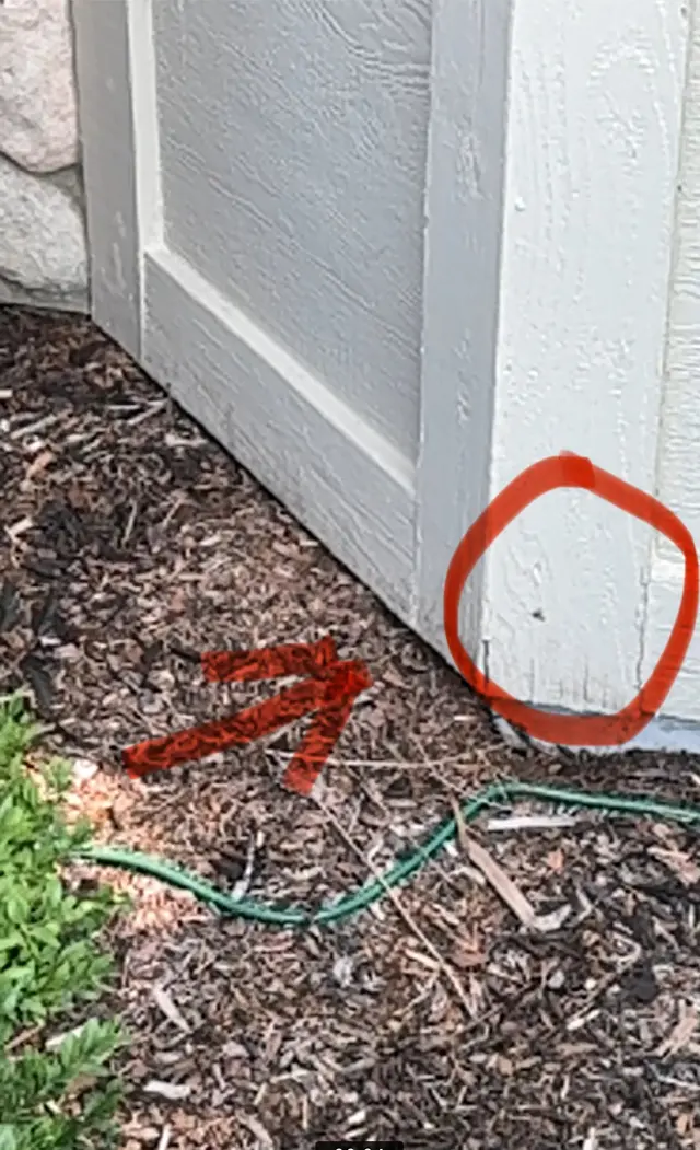 BMI Pest Control Services — customer photo 3