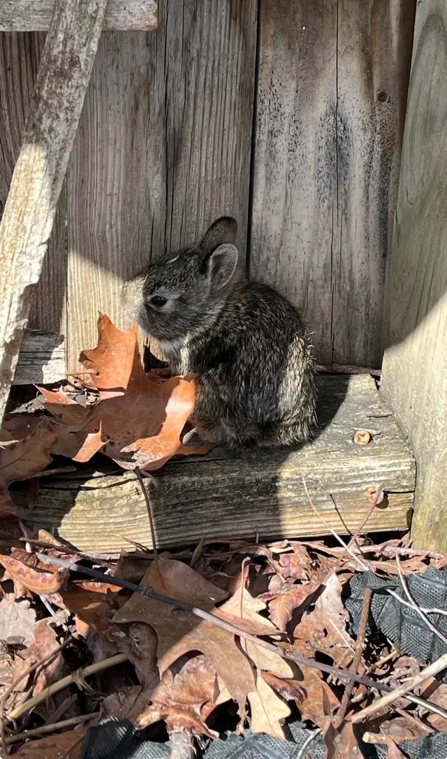 Quality Pest Solutions LLC — photo from the business 8