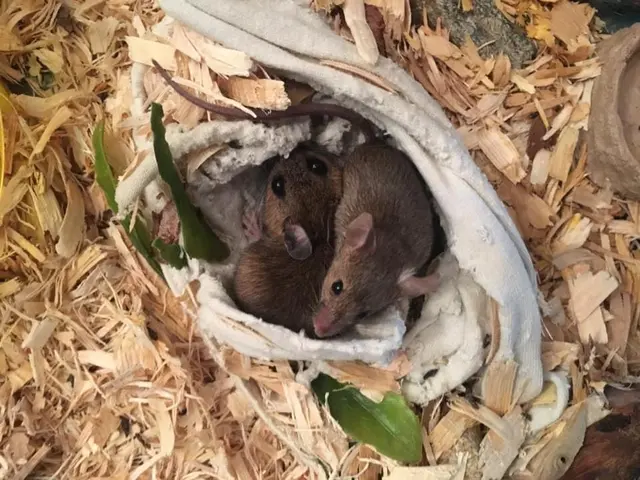 Quality Pest Solutions LLC — photo from the business 4