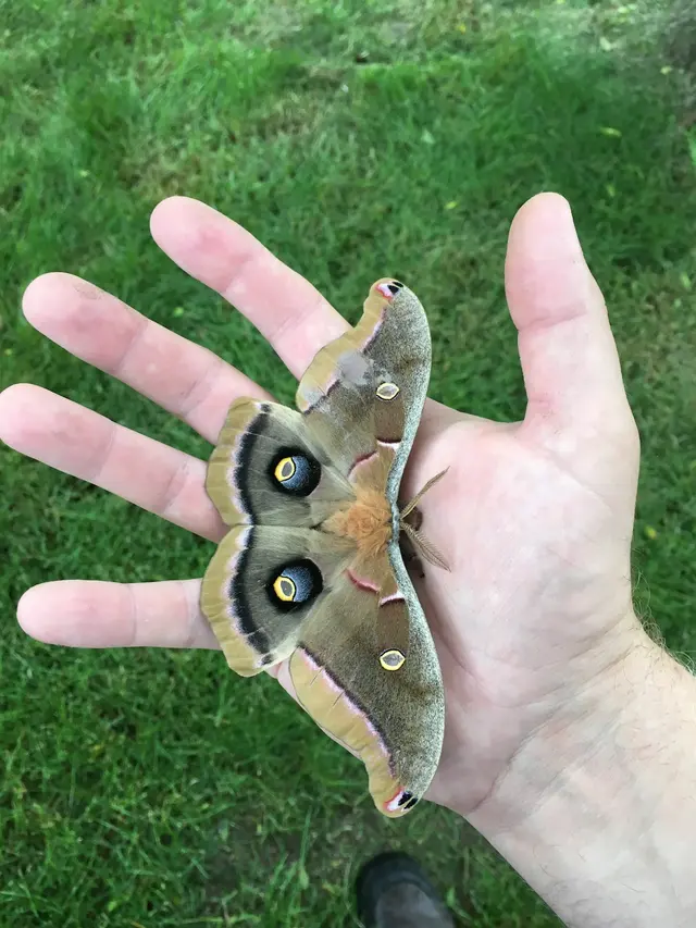 Quality Pest Solutions LLC — photo from the business 5