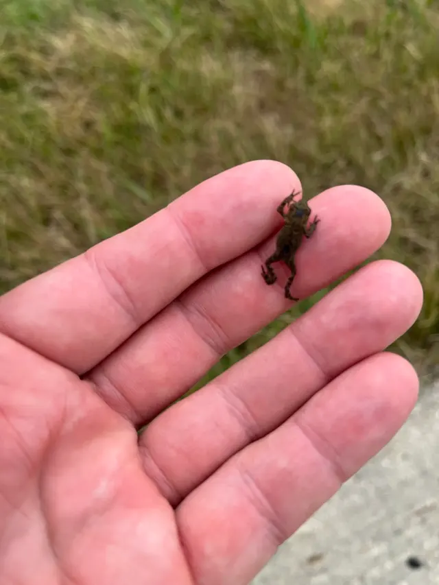 Quality Pest Solutions LLC — photo from the business 9