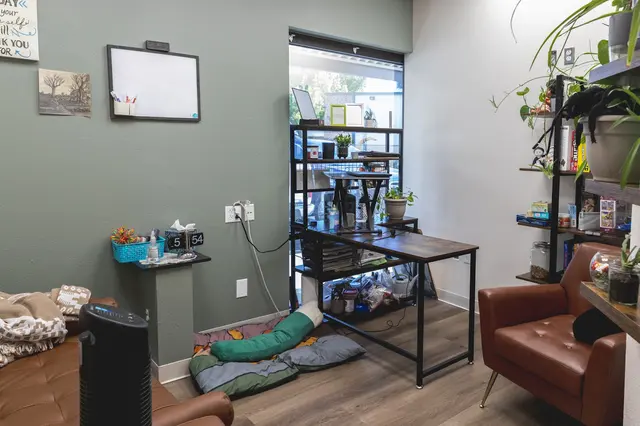 Essential Mental Health — photo from the business 5
