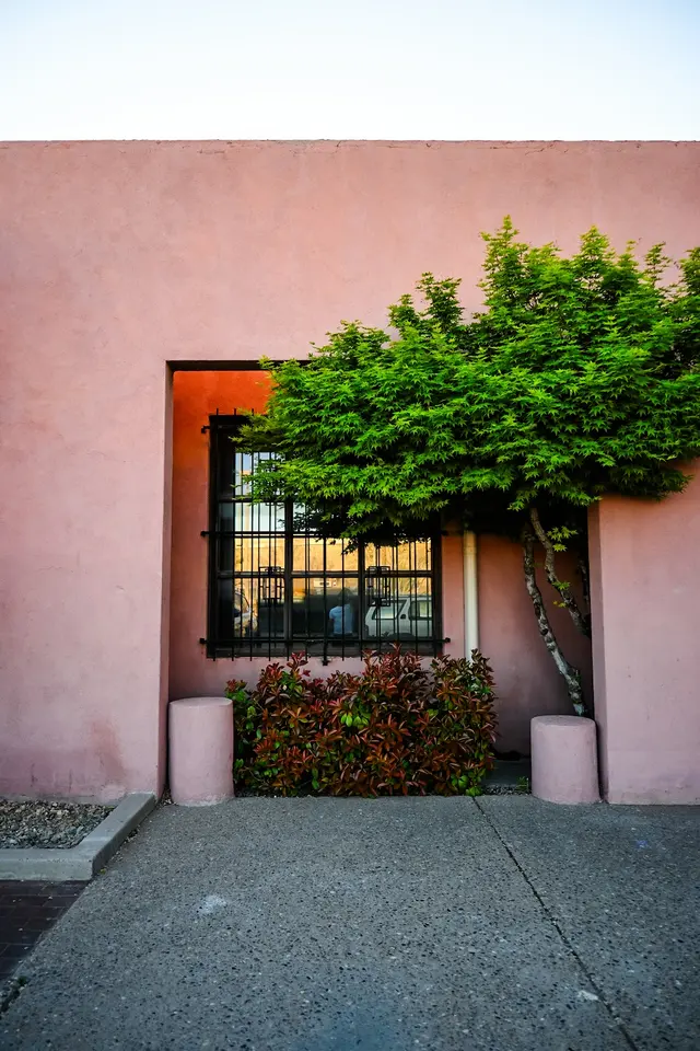 Ascend Recovery Center NM — photo from the business 7