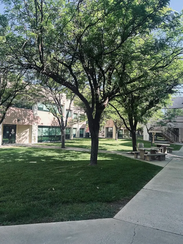 Tri Peak Behavioral Health LLC — photo from the business 5