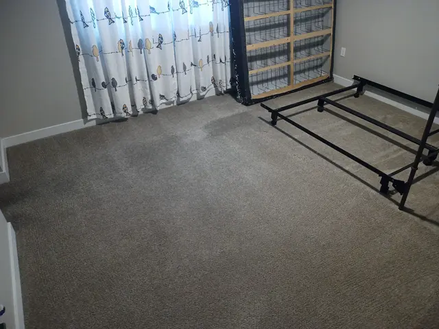 Central Valley Carpet Cleaning — customer photo 6