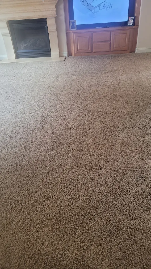 Central Valley Carpet Cleaning — customer photo 9