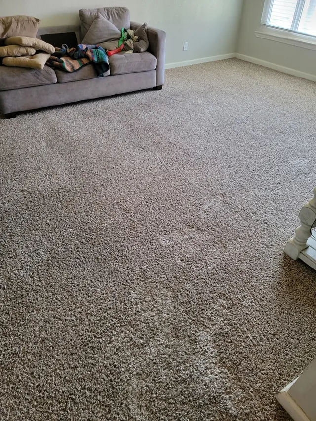 Central Valley Carpet Cleaning — customer photo 11