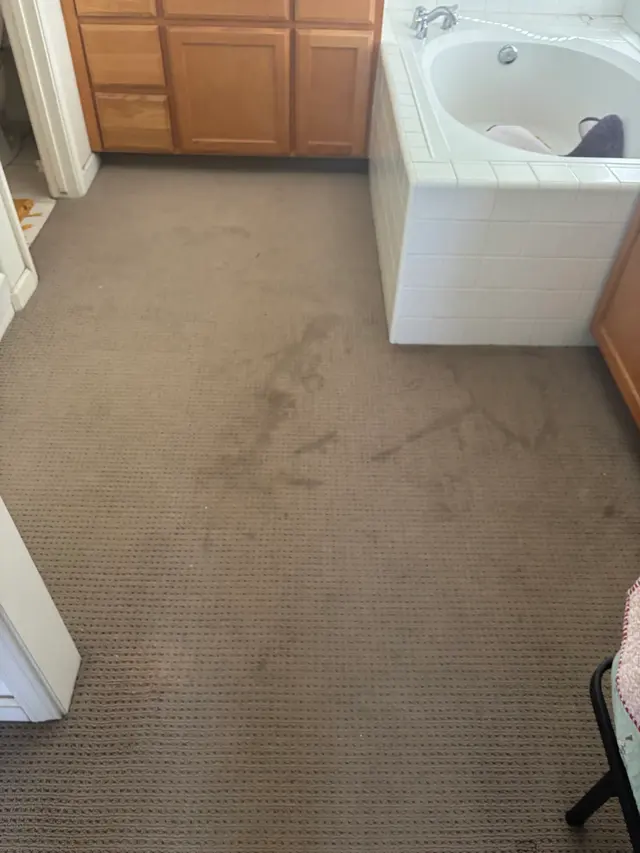 Central Valley Carpet Cleaning — customer photo 1