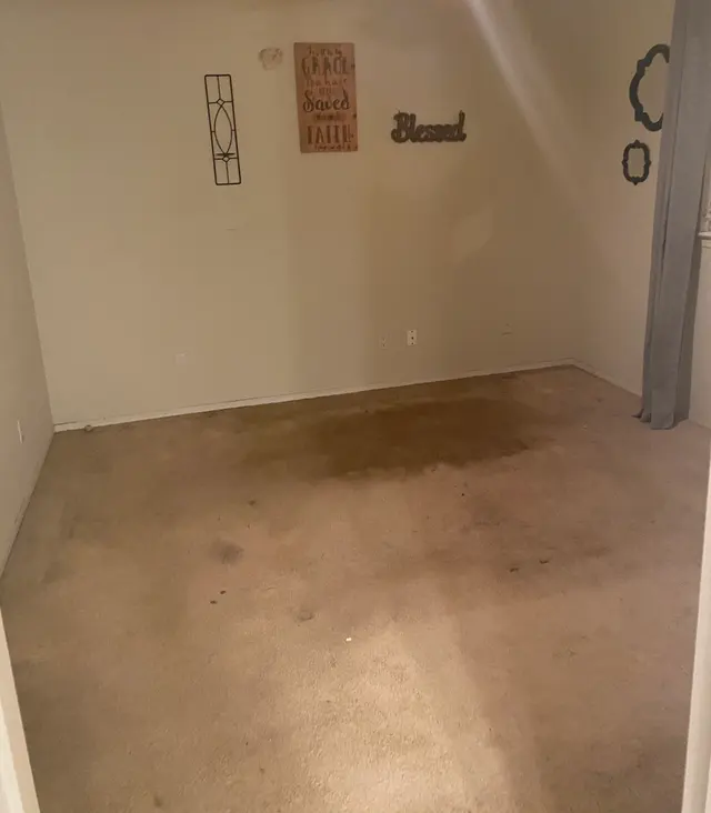 Central Valley Carpet Cleaning — customer photo 8