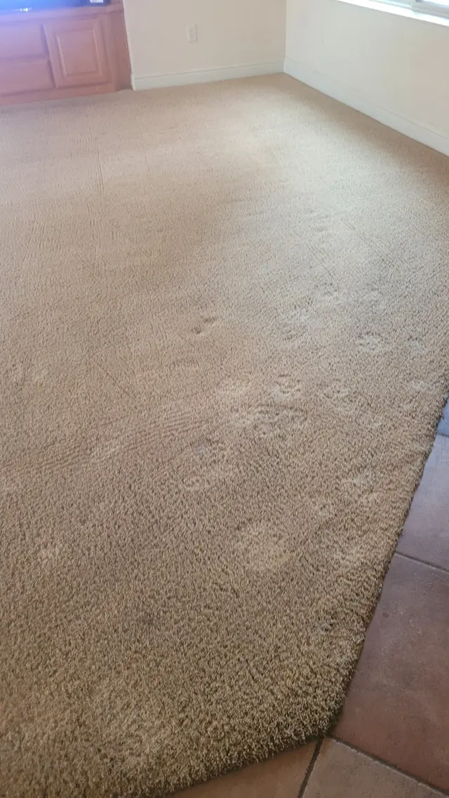 Central Valley Carpet Cleaning — customer photo 10