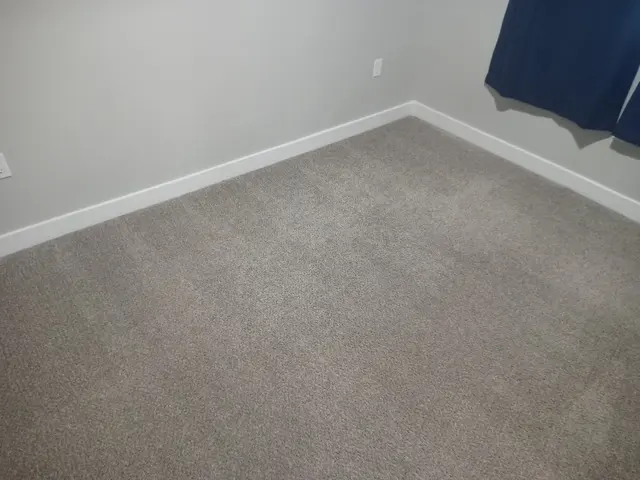 Central Valley Carpet Cleaning — customer photo 5