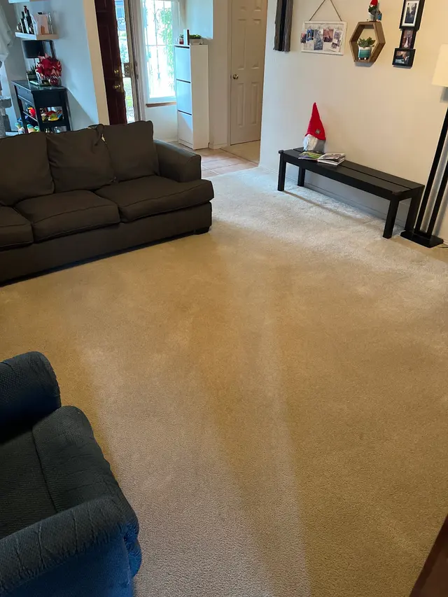 All Clean Chem-Dry carpet and upholstery cleaning — customer photo 5