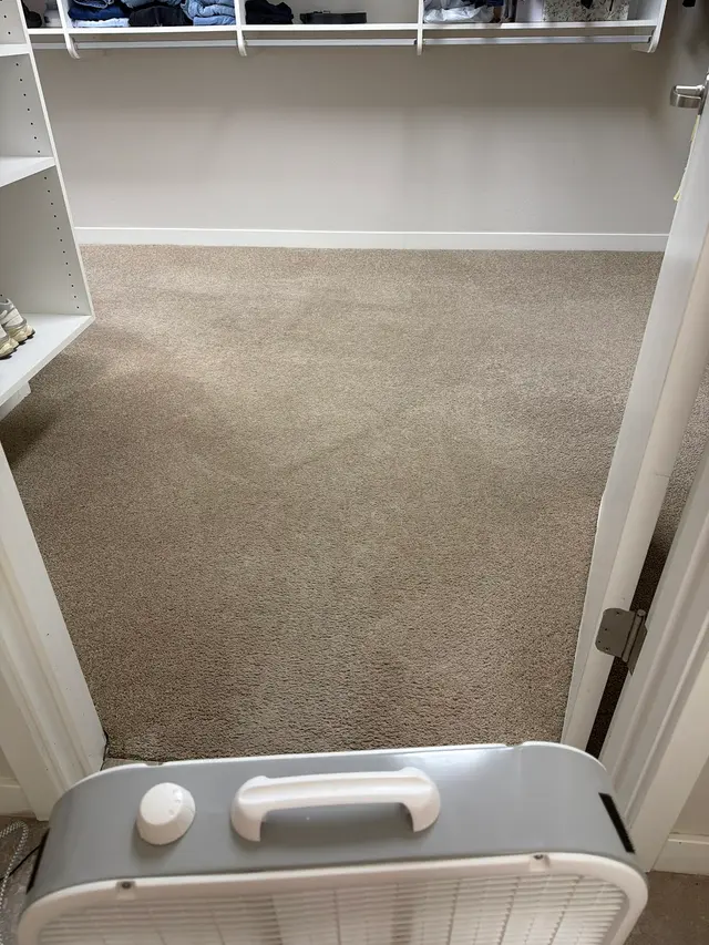 All Clean Chem-Dry carpet and upholstery cleaning — customer photo 6