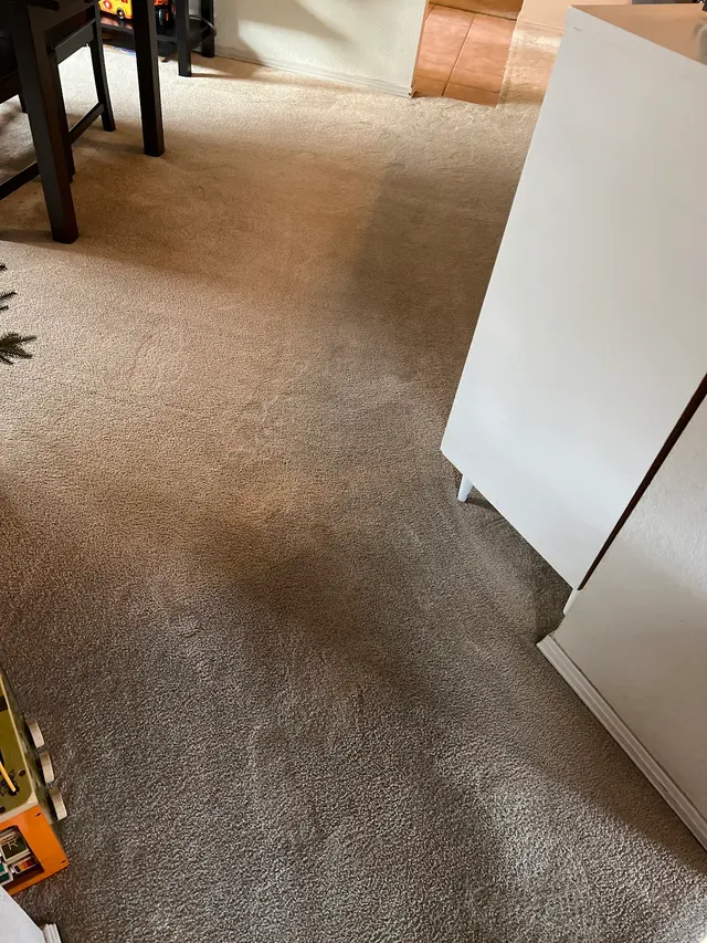 All Clean Chem-Dry carpet and upholstery cleaning — customer photo 2