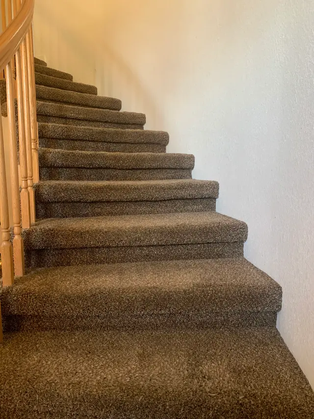 Stanley Steemer — customer photo 7