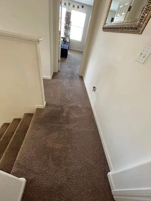 Stanley Steemer — customer photo 5