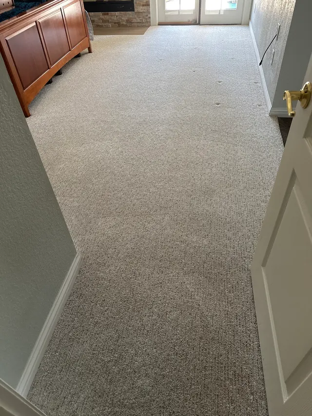 Stanley Steemer — customer photo 2