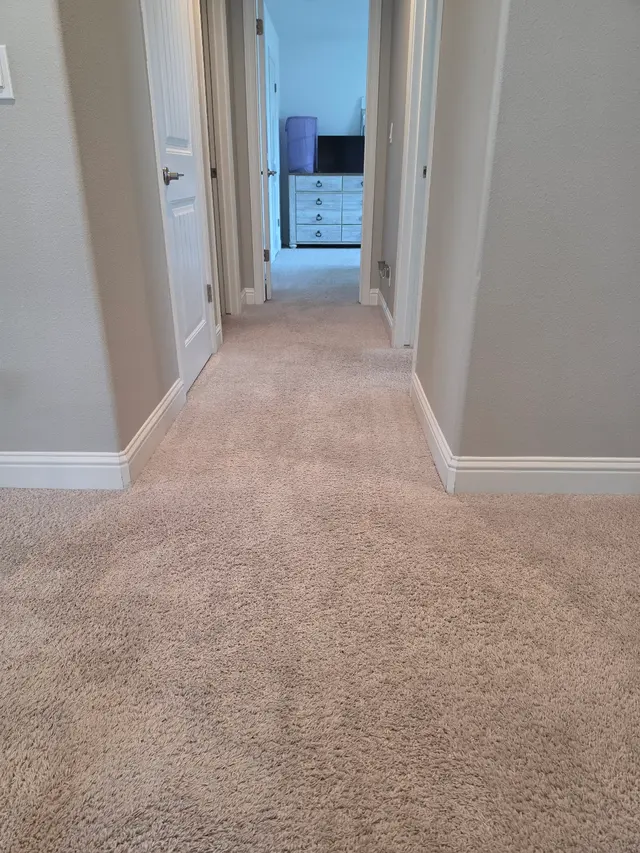 Stanley Steemer — customer photo 3