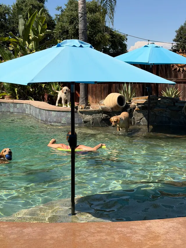 Cox Pool Services & Repair — customer photo 3