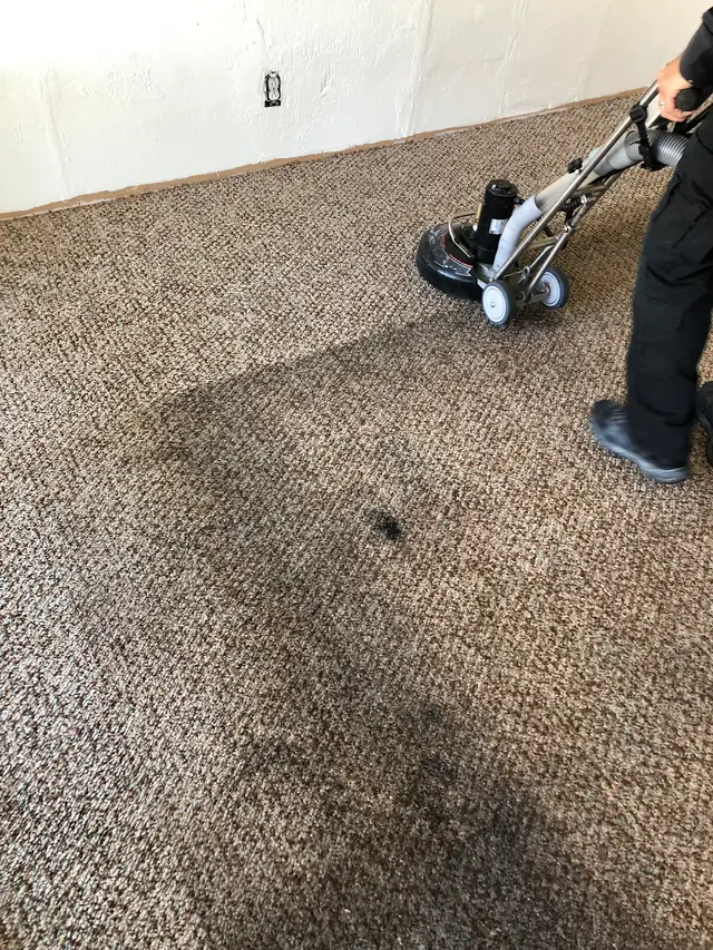 A Clean Slate — photo from the business 2