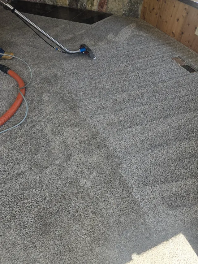 Gold Standard Floor Care — photo from the business 2
