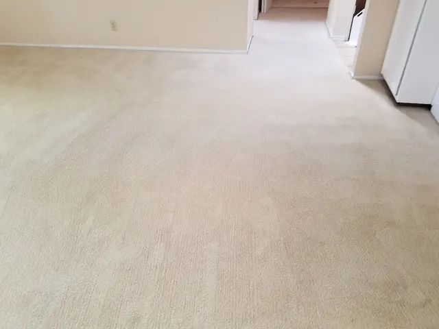 Gold Standard Floor Care — photo from the business 10
