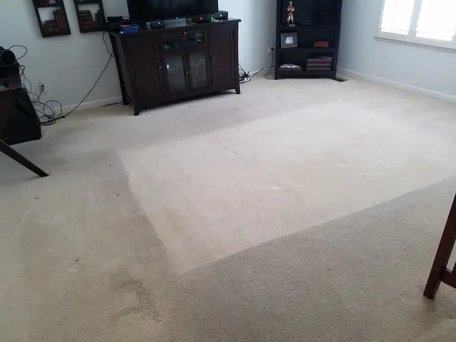 Gold Standard Floor Care — photo from the business 1