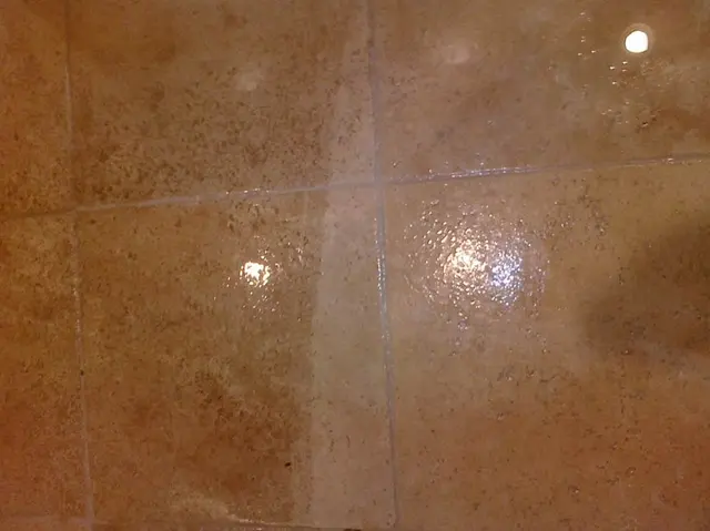 Gold Standard Floor Care — photo from the business 12