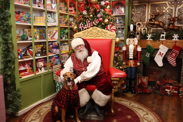 Holiday Magic Studios — customer photo 2