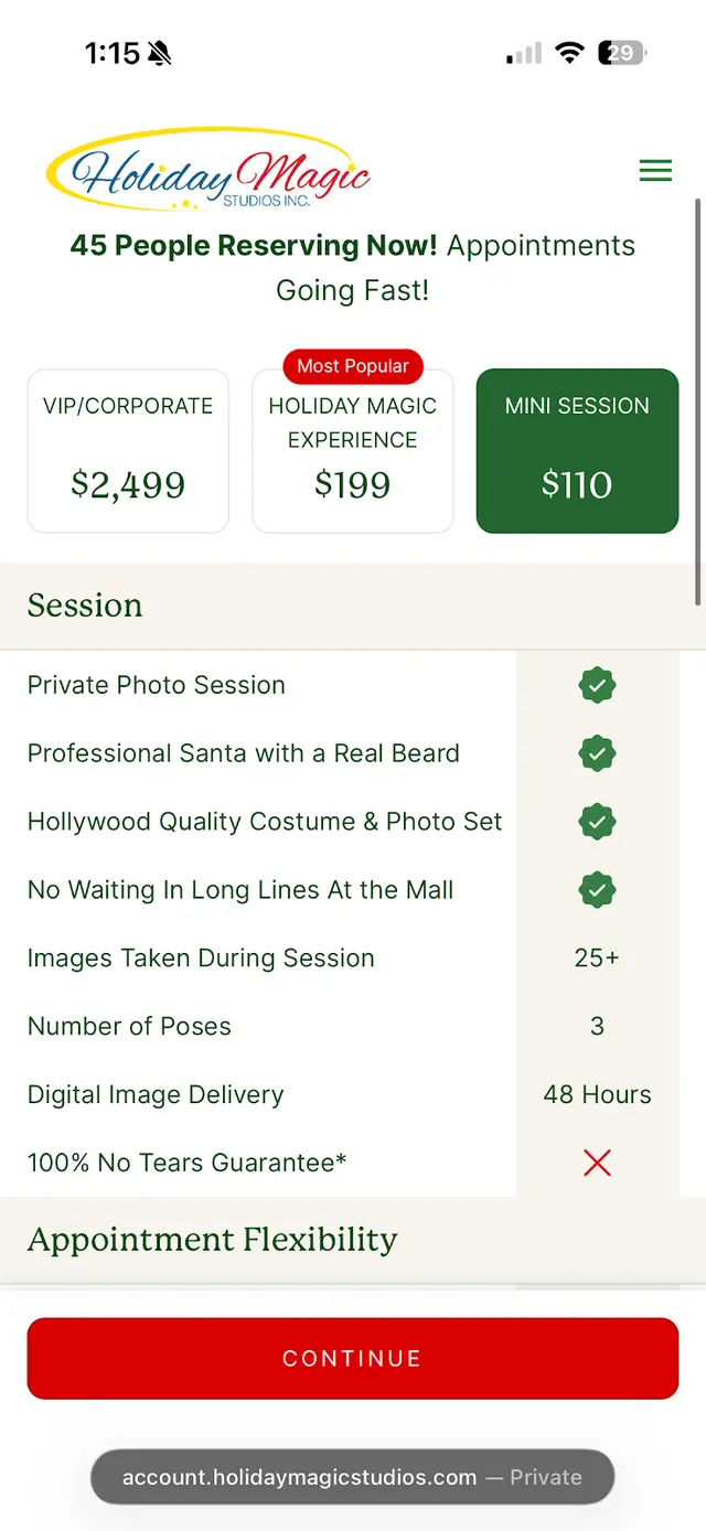 Holiday Magic Studios — customer photo 10