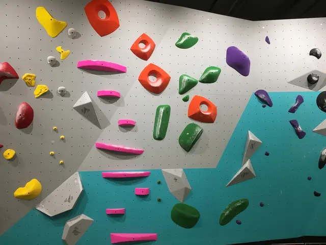Rock Solid Climbing + Fitness — photo from the business 3