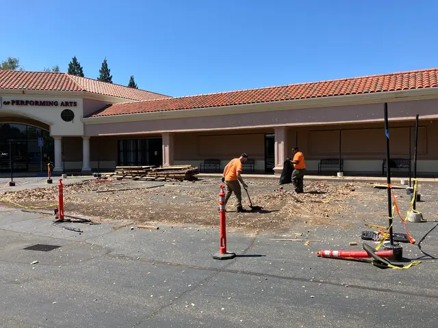 American River Hauling and Junk Removal — photo from the business 3