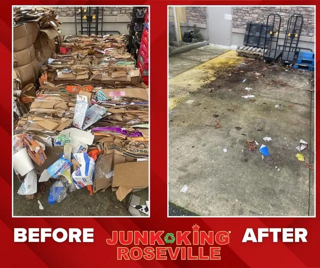 Junk King Roseville — photo from the business 4