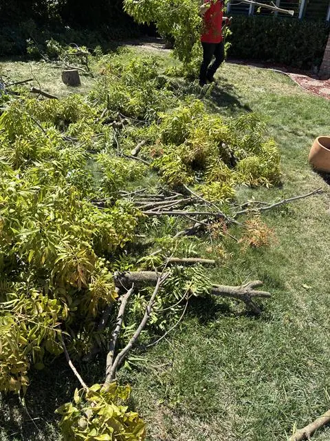 Junk King Roseville — customer photo 12