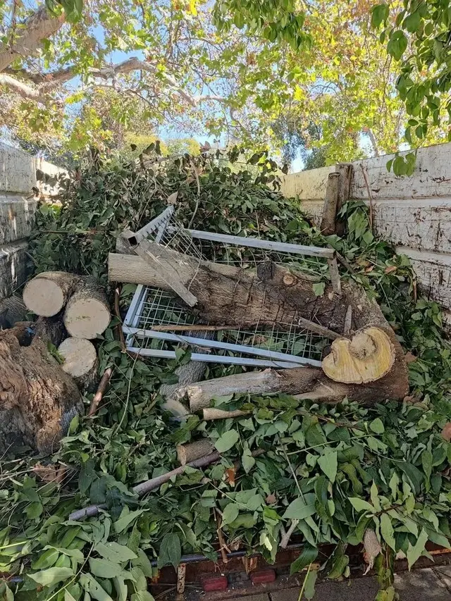 LD Tree Care — photo from the business 9