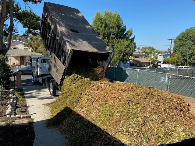 LD Tree Care — photo from the business 4