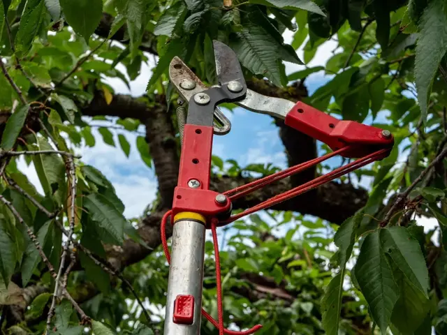 LD Tree Care — photo from the business 1