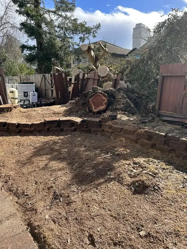 LD Tree Care — photo from the business 3