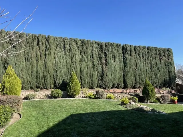 LD Tree Care — photo from the business 10