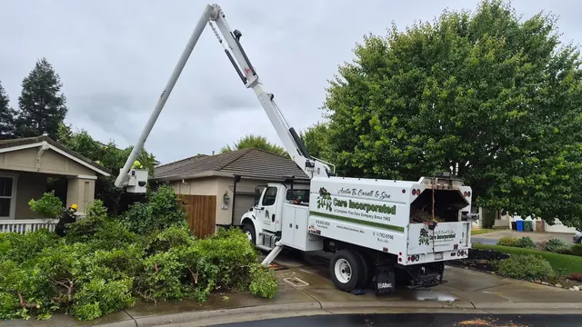 Tree Care Incorporated — photo from the business 1