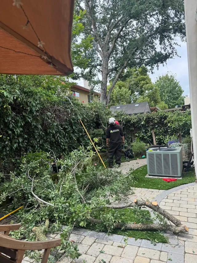 Tree Care Incorporated — customer photo 9