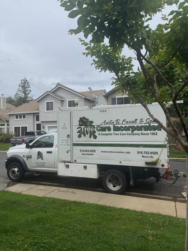 Tree Care Incorporated — customer photo 3