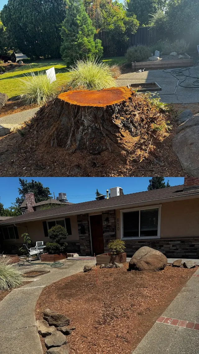 Tree Care Incorporated — customer photo 8